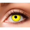 3-Monats-Duo-Linsen Crazy Witch