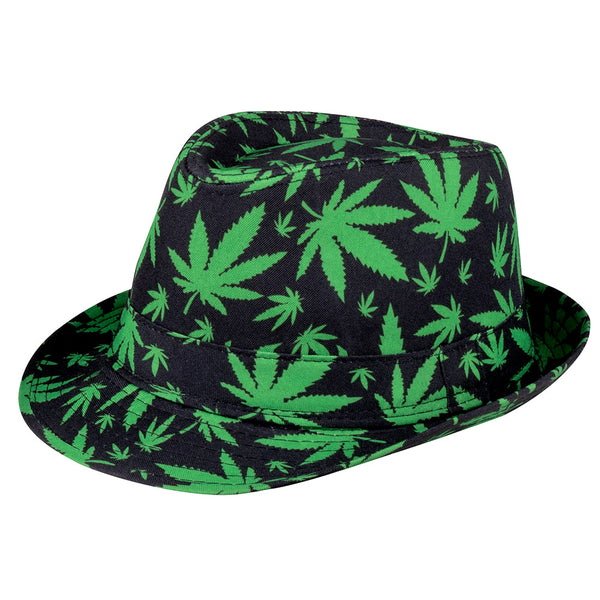 Hut mit Cannabispflanzen