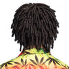 Rasta Perücke | Ruud Gullit Perücke