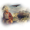 Indianerkostüm | Für Herren | Großer Falke