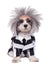 Beetlejuice Hundekostüm